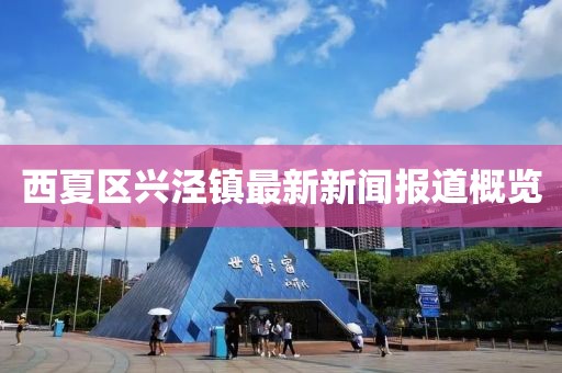 西夏区兴泾镇最新新闻报道概览