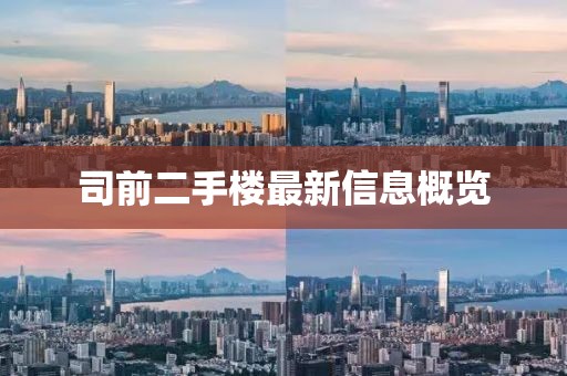 司前二手楼最新信息概览