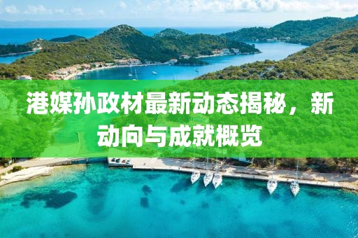 港媒孙政材最新动态揭秘，新动向与成就概览