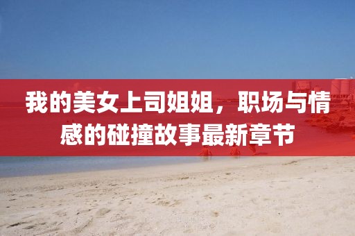 我的美女上司姐姐，职场与情感的碰撞故事最新章节