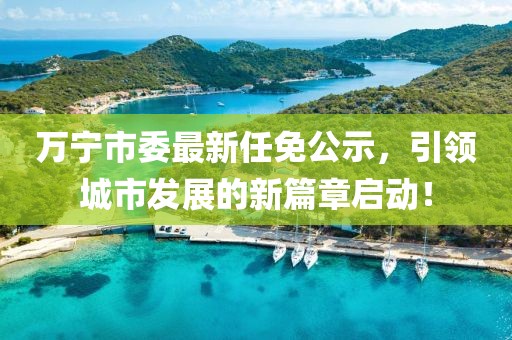 万宁市委最新任免公示，引领城市发展的新篇章启动！