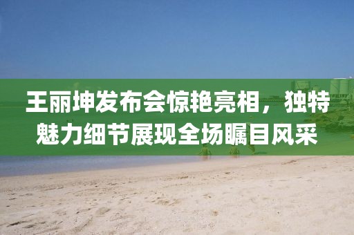 王丽坤发布会惊艳亮相，独特魅力细节展现全场瞩目风采