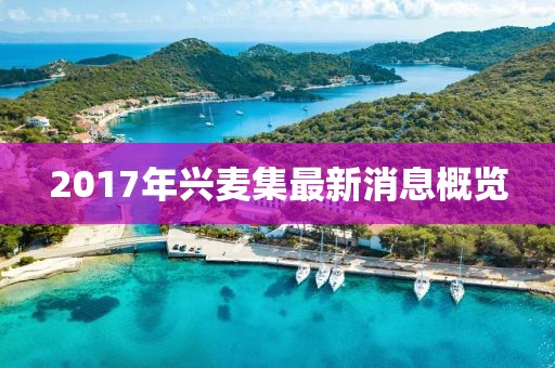 2017年兴麦集最新消息概览