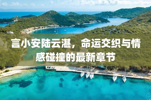言小安陆云湛，命运交织与情感碰撞的最新章节