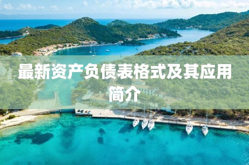最新资产负债表格式及其应用简介