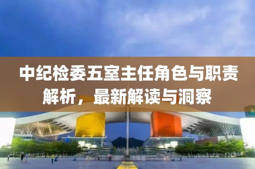 中纪检委五室主任角色与职责解析，最新解读与洞察