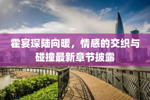 霍宴琛陆向暖，情感的交织与碰撞最新章节披露