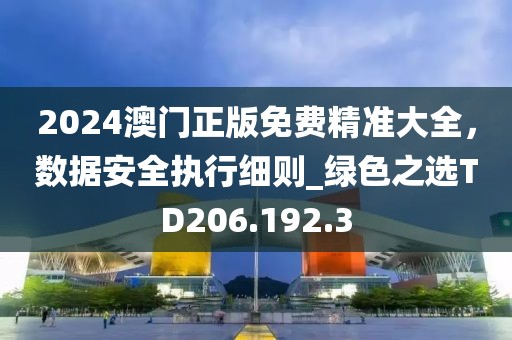 2024澳门正版免费精准大全，数据安全执行细则_绿色之选TD206.192.3