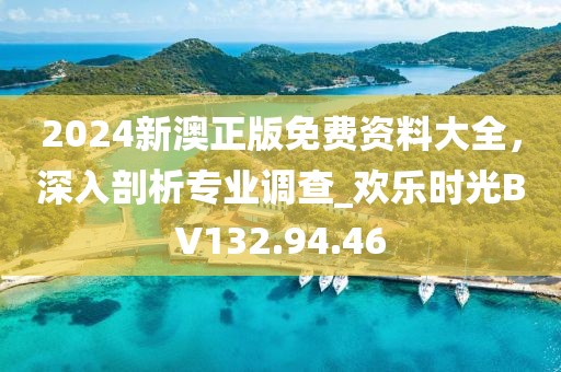 2024新澳正版免费资料大全，深入剖析专业调查_欢乐时光BV132.94.46