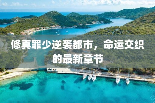 修真罪少逆袭都市，命运交织的最新章节