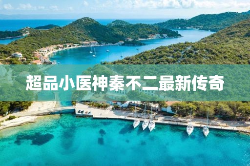 超品小医神秦不二最新传奇