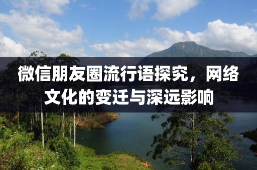 微信朋友圈流行语探究，网络文化的变迁与深远影响