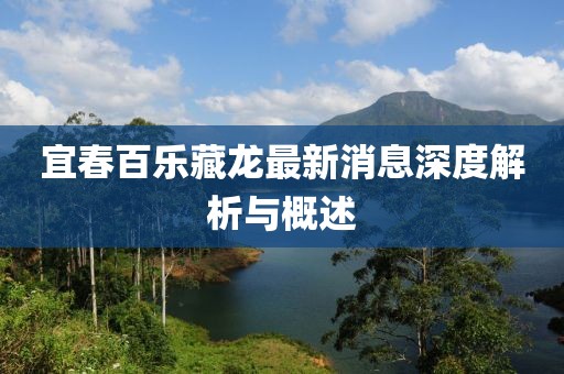 宜春百乐藏龙最新消息深度解析与概述