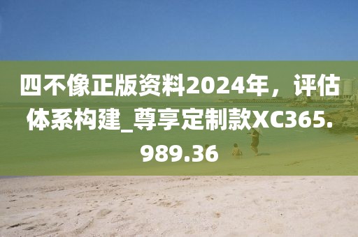 四不像正版资料2024年，评估体系构建_尊享定制款XC365.989.36