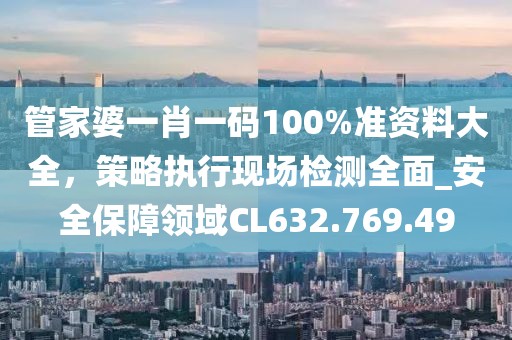 管家婆一肖一码100%准资料大全，策略执行现场检测全面_安全保障领域CL632.769.49