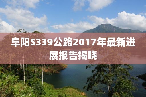 阜阳S339公路2017年最新进展报告揭晓