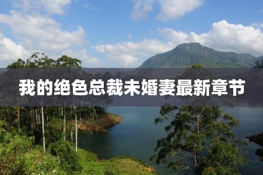 沐年之夏 第19页