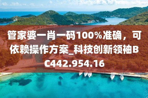 管家婆一肖一码100%准确，可依赖操作方案_科技创新领袖BC442.954.16