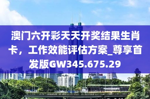 澳门六开彩天天开奖结果生肖卡，工作效能评估方案_尊享首发版GW345.675.29