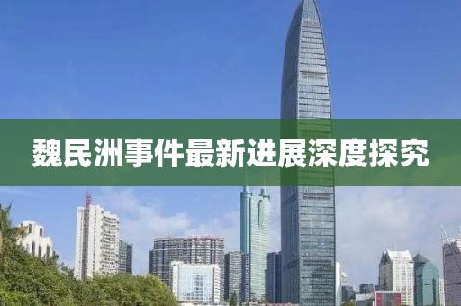 魏民洲事件最新进展深度探究