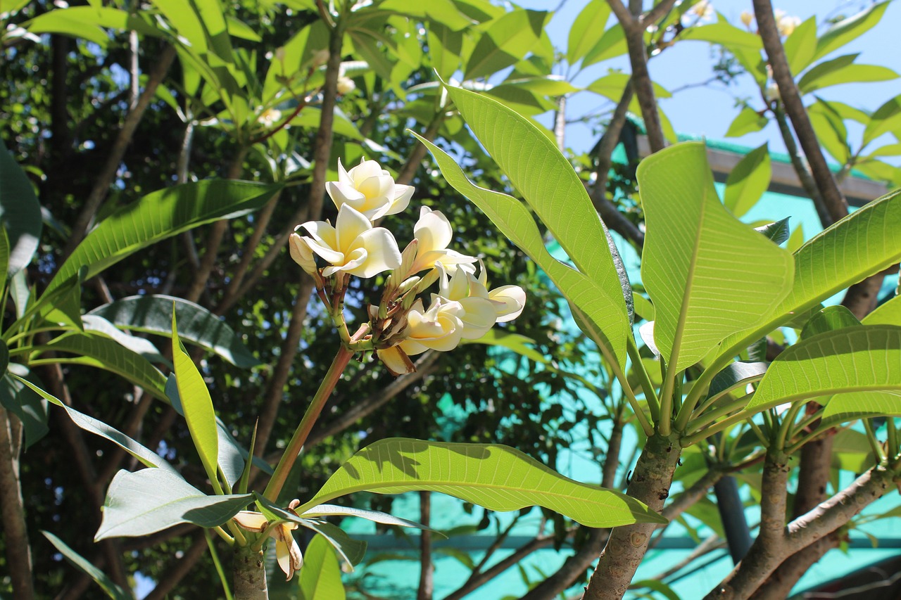 年華已逝 第23页