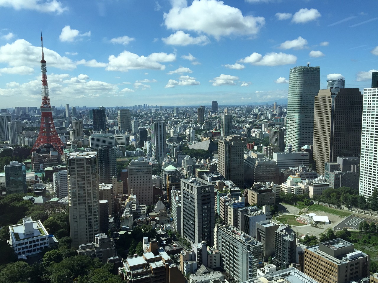 2024年12月 第65页