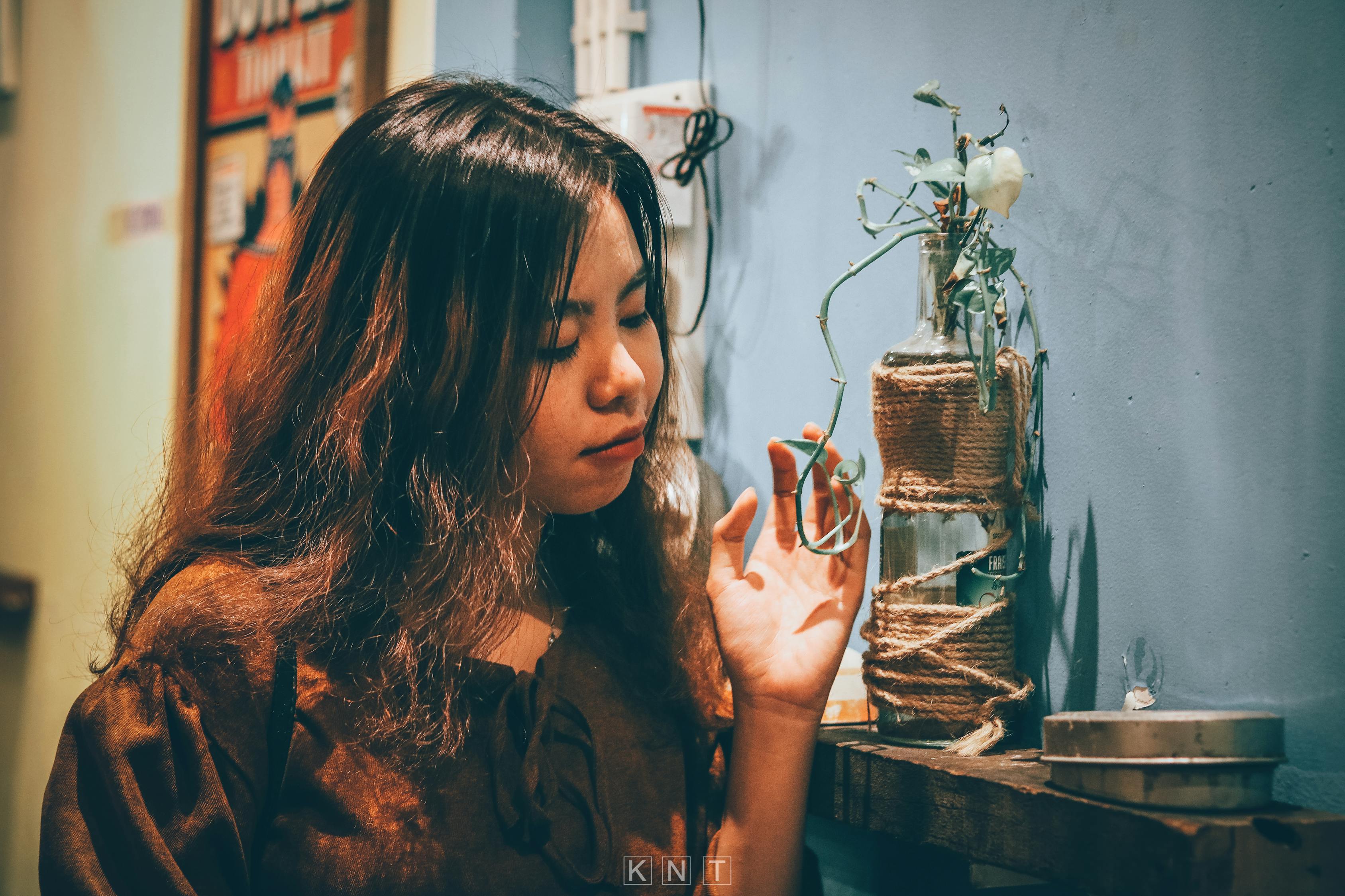 艳俏七零年代，时代魅力与青春绽放的章节