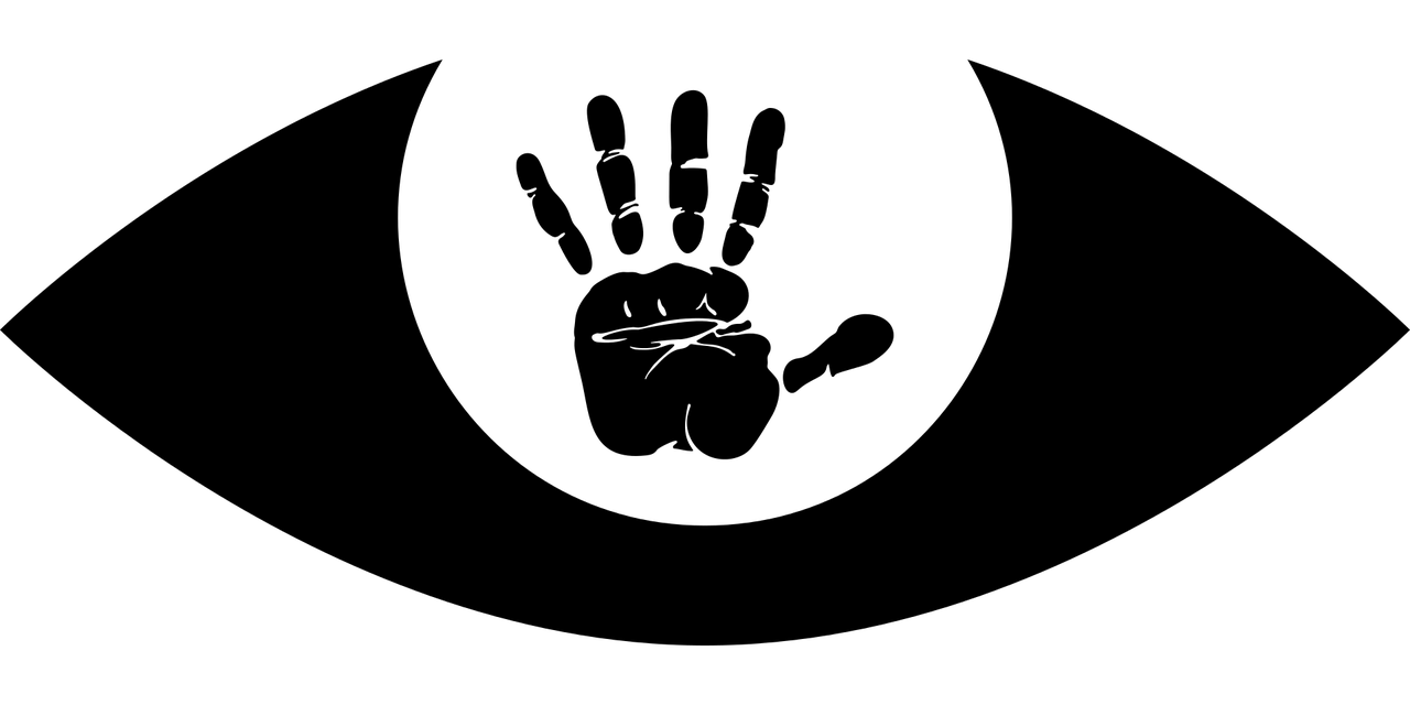 佩特雷斯库五月最新动态更新