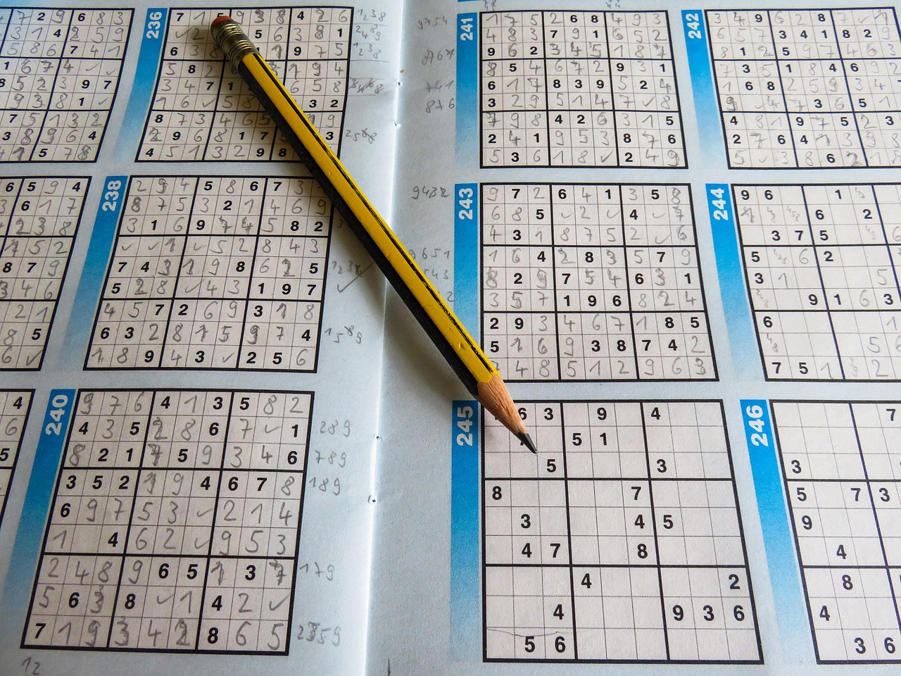 五月拔河比赛活动方案及规则详解