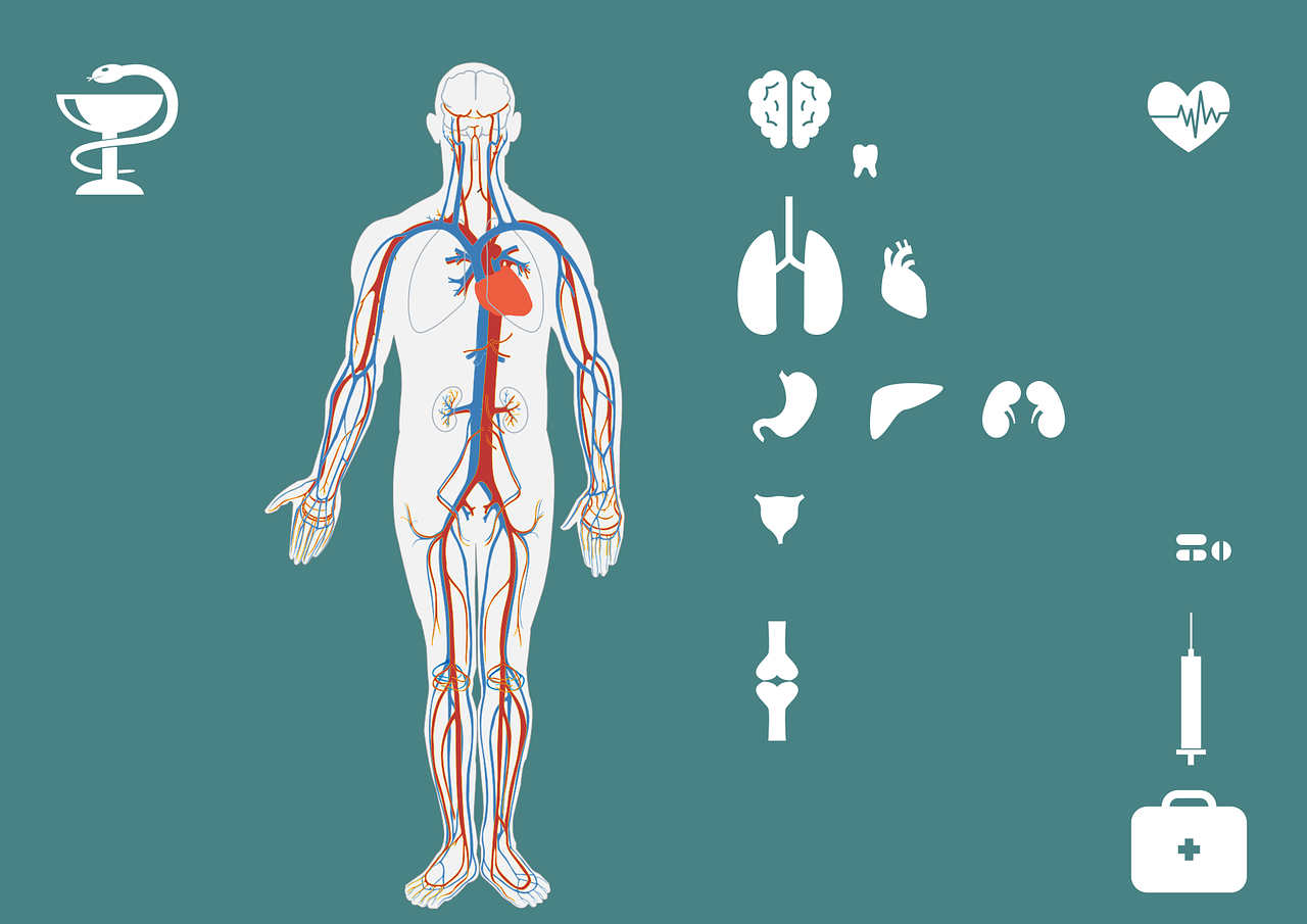 五月厦门肺部健康资讯大汇总，关注呼吸健康，守护生命之肺